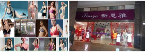 深圳市新思雅服飾有限公司